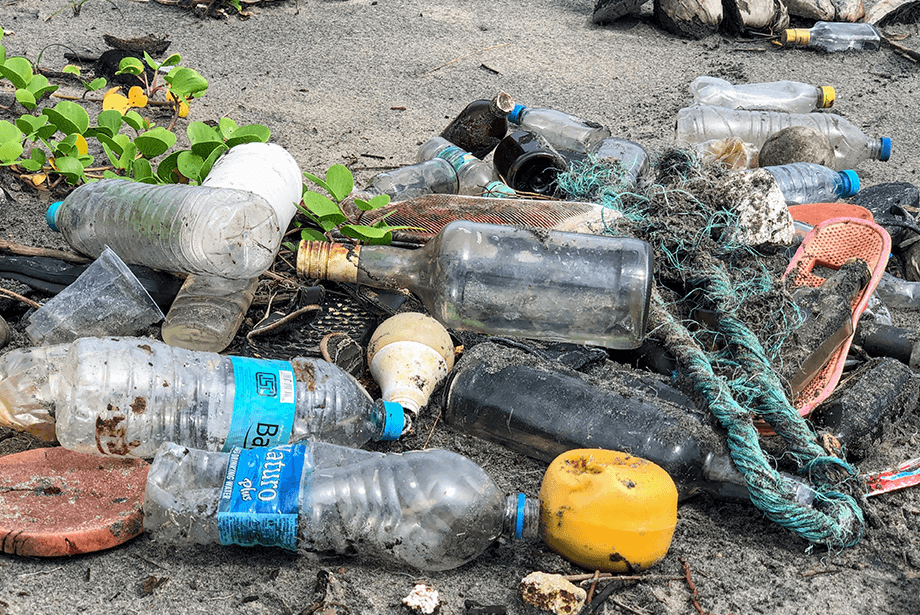 Image of plastic bottles, plastic bags and ghost nets littering a beach