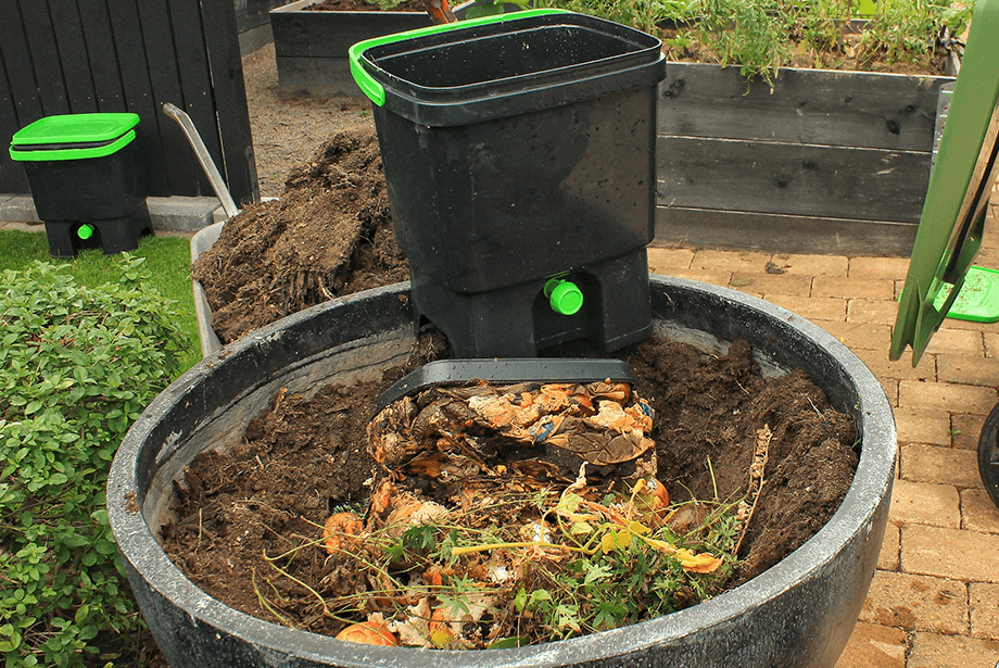 Bokashi bin on compost heap