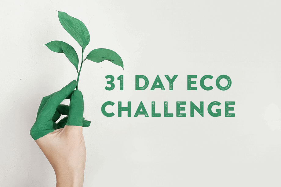 Easy ways you can help the planet and prevent climate change 