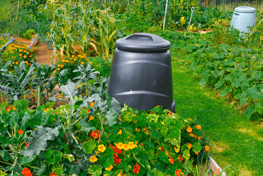 A colourful allotment garden in the summer with compost bin, flowers and vegetables.