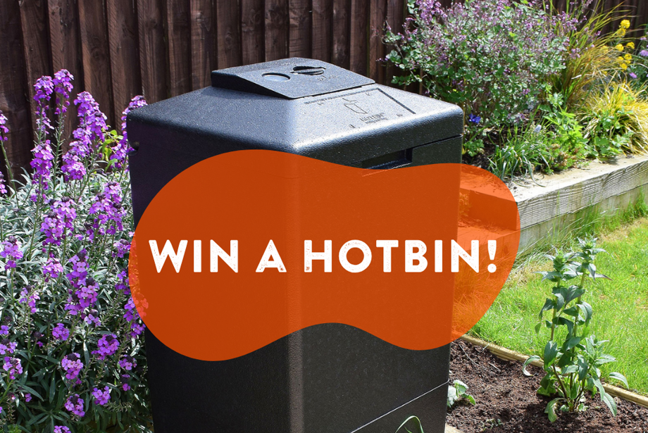 Win a Hotbin!