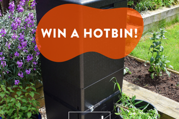 Win a Hotbin!