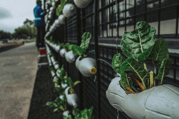 Green leafed planters made from reused materials, discover how to reduce waste across South Yorkshire