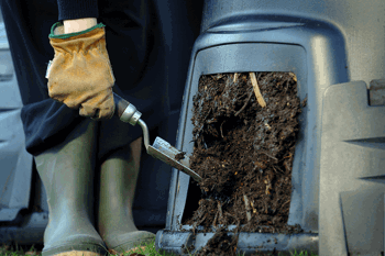 Compost in a plastic composting bin 